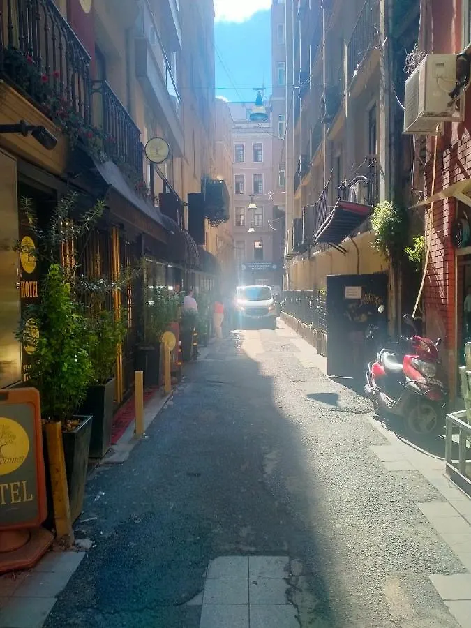 2 Bedrooms Central Area Located Appartment 1Floor Istanbul